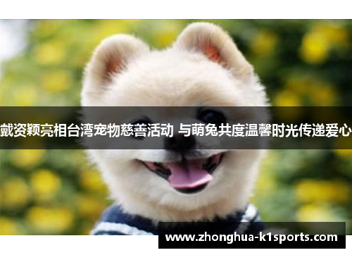 戴资颖亮相台湾宠物慈善活动 与萌兔共度温馨时光传递爱心 戴资颖亮相台湾宠物慈善活动 与萌兔共度温馨时光传递爱心