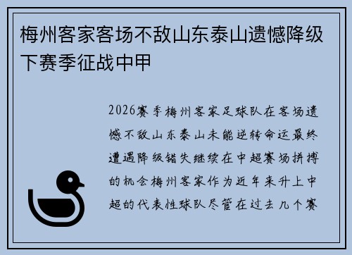 梅州客家客场不敌山东泰山遗憾降级下赛季征战中甲